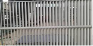 Cửa chớp tôn giá rẻ